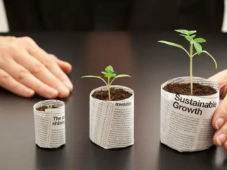 Investment Opportunities